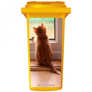 Kitten Looking Through A Rainy Window Wheelie Bin Sticker Panel